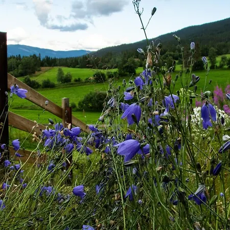 Apartment Kjeldeskogen *