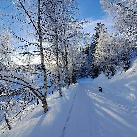 Kjeldeskogen * Ryfoss