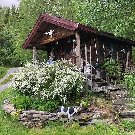 Kjeldeskogen * Ryfoss